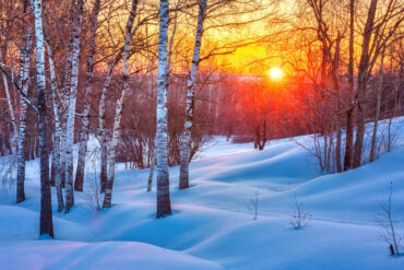 A Year in Harmony: Monthly Meditation & Alignment Series